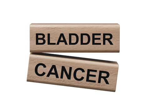 Bladder Cancer symbol. Concept word Bladder Cancer on wooden blocks.  Medicine and Bladder Cancer concept.Copy space.Supports PNG files with transparent backgrounds.