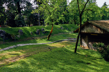 Obraz premium Cabin cottage grass trees path forest sunlight rustic wooden shed by a green meadow, peaceful countryside landscape with stone walkway, shaded yard and tranquil natural atmosphere.