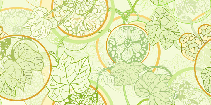 melon pattern a decorative illustration of sliced fruit