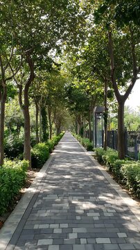 Endless pathway disappearing into the distance lined by verdant trees