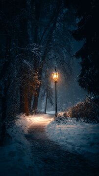 Glowing vintage lamppost lights a winding snowy park path at night