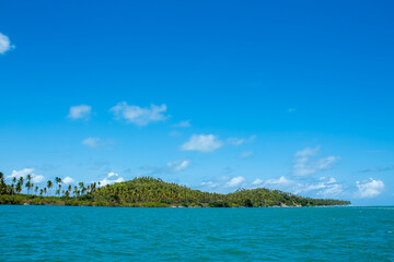 Tropical Island with Coconut Palms from Water © Antonino