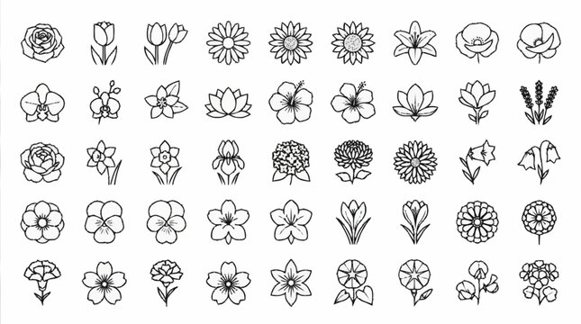 Collection of various black line drawn flowers