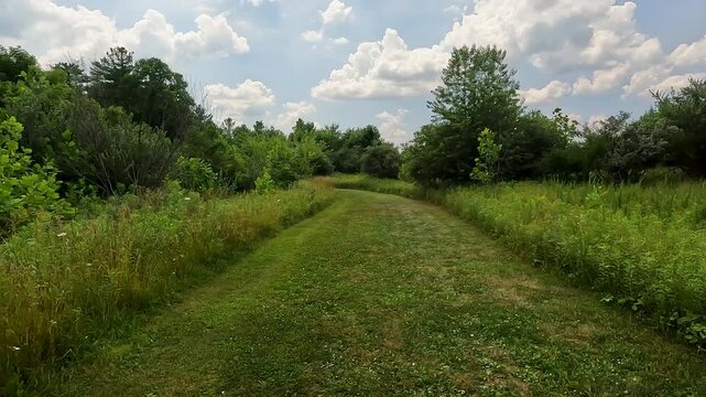 Cinematic slow-motion perspective moving backwards along a mowed trail at Weldon Springs State Park, Illinois. Smooth motion captures peaceful greenery and golden summer light.