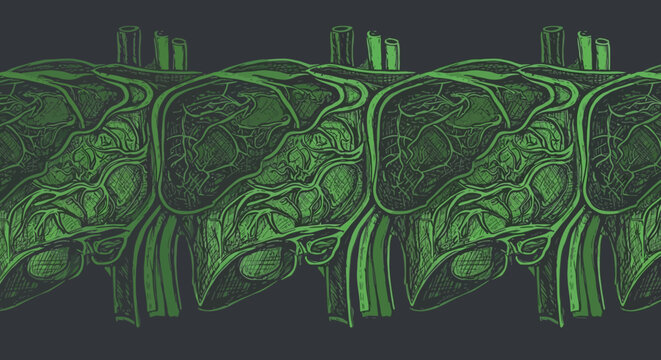 Repeating pattern of stylized green human livers with visible internal structures on a dark background.