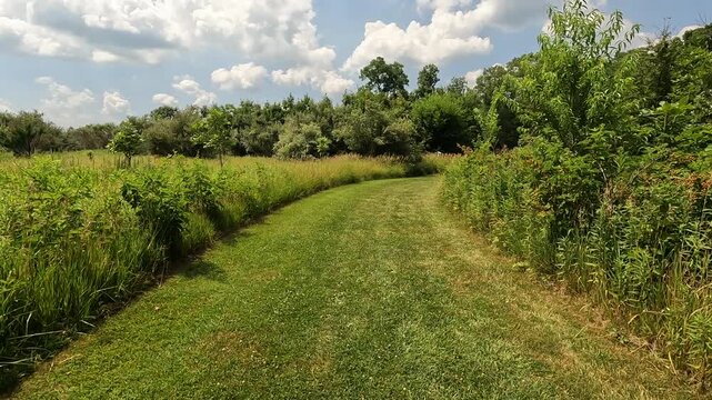 Cinematic slow-motion POV moving forward along a mowed trail at Weldon Springs State Park, Illinois. Glides through lush summer greenery and wild prairie grass under warm sunlight