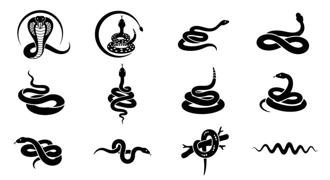 Collection of Various Black Snake Silhouettes and Icons for Design and Symbolism