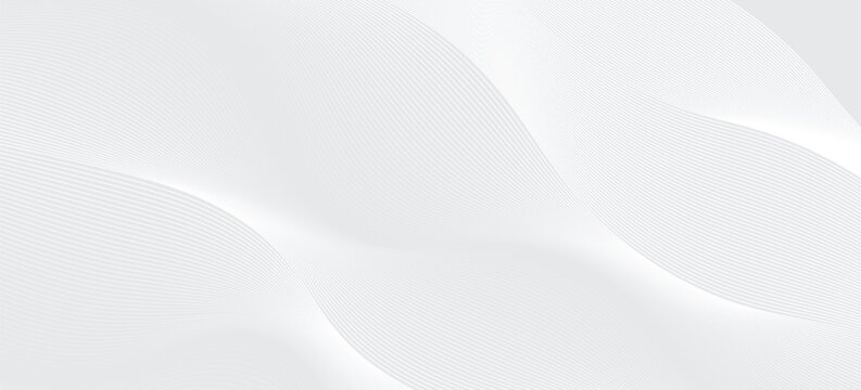 Premium background design with luxury white line pattern (texture). Abstract horizontal vector template for business banner