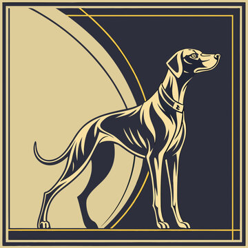 Elegant pointer dog in profile vector illustration.