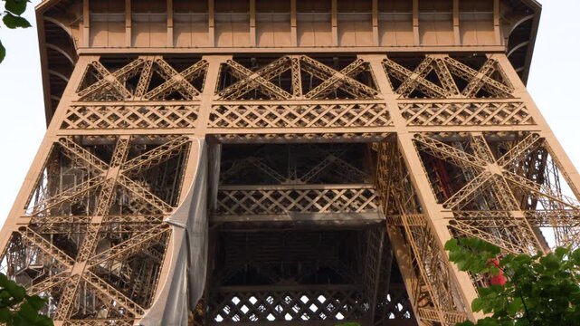 Low Angle View of the Eiffel Tower Through Green Tree Leaves