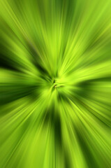 Fototapeta premium abstract green background