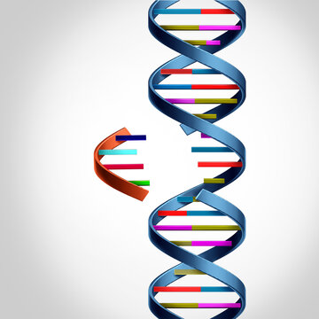 Longevity gene transfer and anti aging biotechnology concept featuring DNA genetics CRISPR gene editing lifespan extension regenerative medicine molecular biology cellular health and healthy aging sci