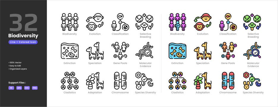 Biodiversity icon set collection - colored outline line art style. Adaptation Chromosome Cladistics Classification Evolution Extinction Gene Pools Molecular Evidence Selective Breeding Speciation