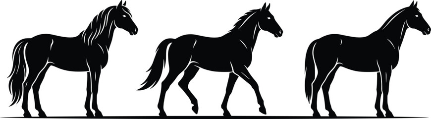 Black silhouette vector illustration of horses in standing and walking poses with flowing manes and tails © RAFIQUL