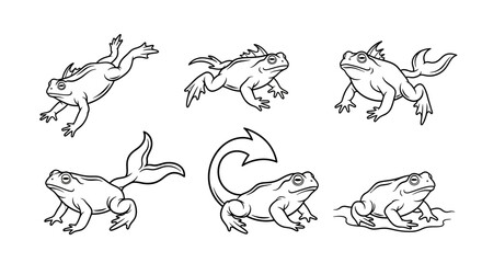 Obraz premium Set of Cartoon Frog Illustrations with Tails and Dynamic Poses