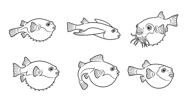 Set of hand-drawn puffer fish illustrations in black and white