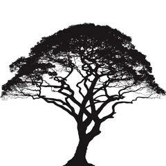 Fototapeta premium Tree silhouette, black tree, tree icon, tree illustration, isolated tree