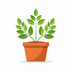 Obraz premium Green Plant Growing in a Terracotta Pot
