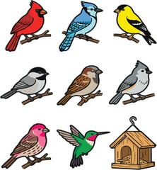 Fototapeta premium Colorful Garden Bird Illustration Collection Featuring Cardinals, Blue Jays, Finches, Sparrows, Hummingbirds, and Wooden Birdhouse Nature Elements