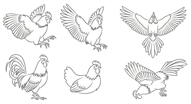 Set of Hand-Drawn Roosters and Hens in Various Poses