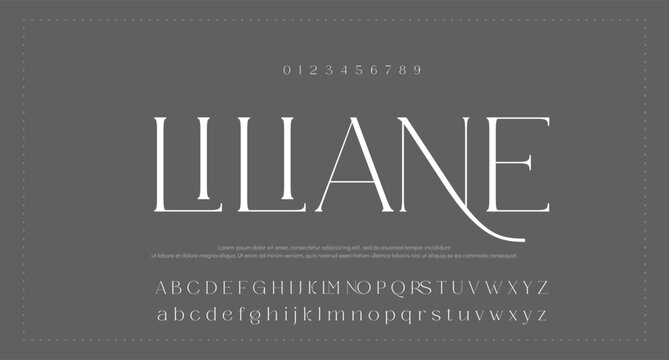 Luxury sans serif alphabet letters font and number. Classic Lettering Minimal Fashion Designs. Typography decorative wedding fonts and logo. vector illustration. 