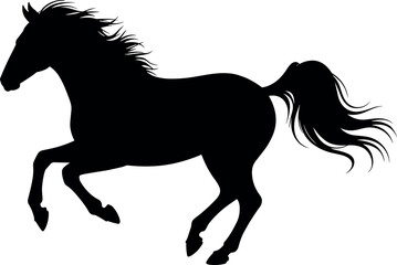 Black horse silhouette running and jumping isolated on white background profile view of wild stallion galloping with flowing mane and tail. © BIPUL