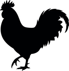 Black rooster silhouette isolated on white background male chicken farm animal vector illustration for poultry logo design and agricultural branding © BIPUL