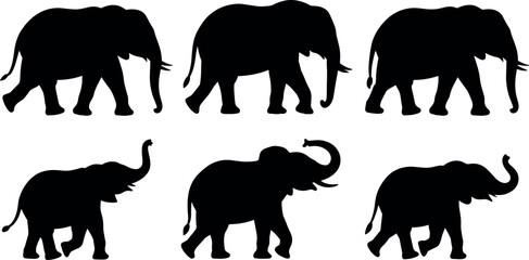 Set of African and Asian Elephant Silhouettes in Walking and Trumpeting Poses Isolated on White Background for Wildlife Design Elements © BIPUL