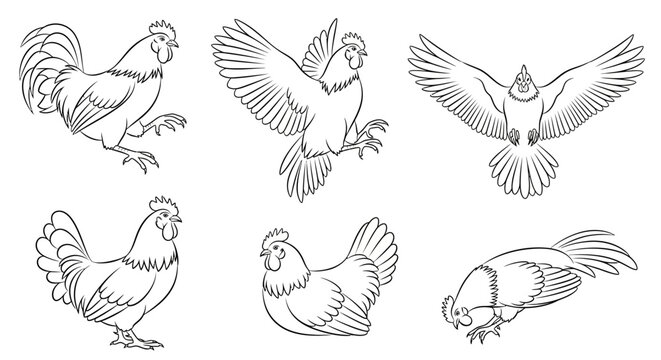 Set of Hand-Drawn Roosters in Various Poses, Isolated Illustration