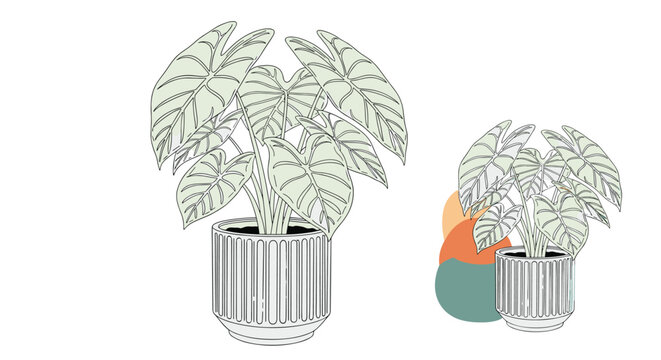 Artistic illustration of a potted elephant ear plant with large patterned leaves and a smaller colorful version in the background.