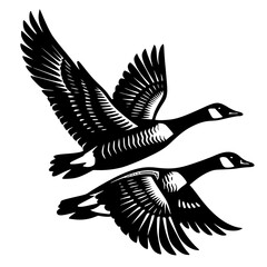 High-contrast black silhouette of two Canada geese flying. Detailed vector art with sharp lines and feather patterns, perfect for wildlife conservation, hunting themes, or nature-inspired designs. © Suriya