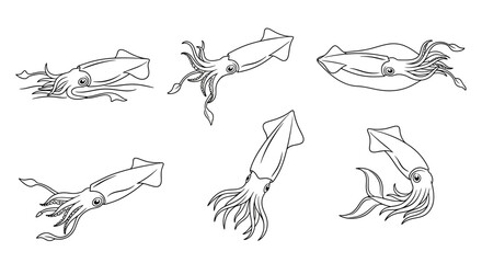 Obraz premium Hand-drawn squid set in various swimming poses