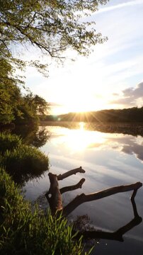 handheld shaky vertical video tilting up of lake water surrounded by grass and trees during sunset with clouds in the sky.