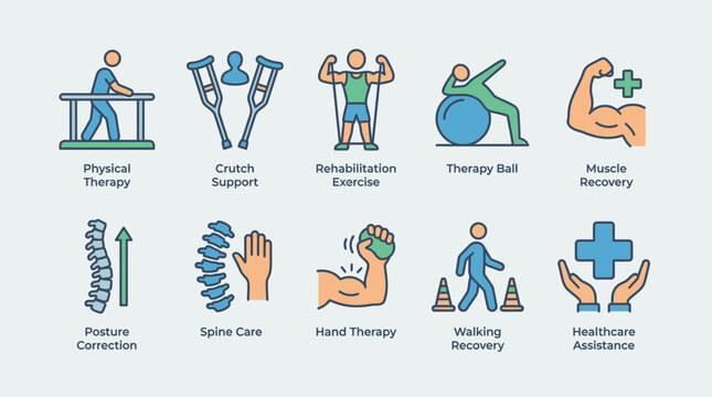 Physical therapy rehabilitation exercises for muscle recovery and spine care