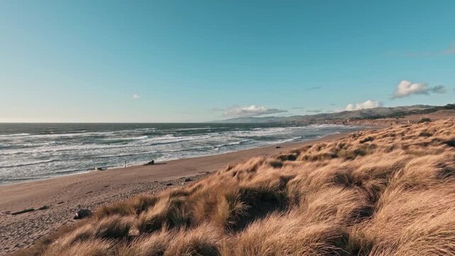 Wide angle of windy Sonoma Coast beach with golden dunes and crashing waves at sunset
