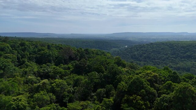 Slow motion Aerial view of lush tropical rainforest in southeast Asia 