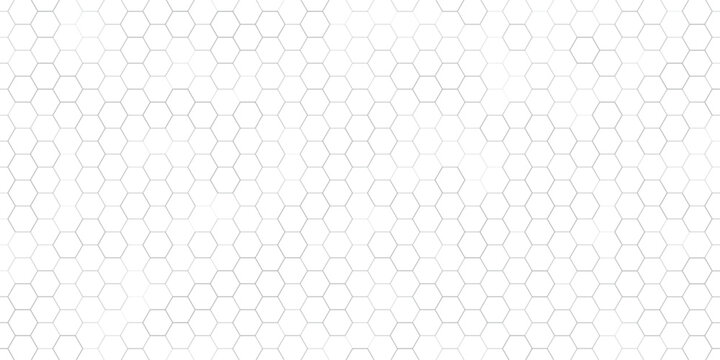 Technology wireframe landscape. Vector perspective grid. Digital space. Mesh on a white background modern