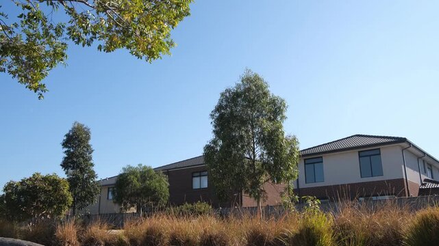 A row of modern residential homes in a suburban neighbourhood in Point Cook, Melbourne, Australia, framed by native tussock grasses, eucalyptus trees. Contemporary suburban housing.