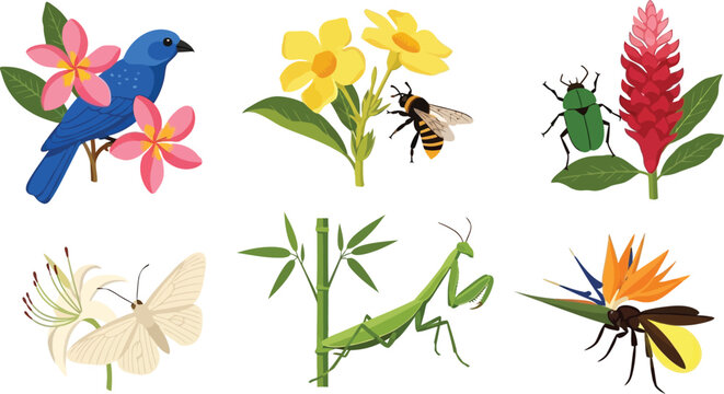 Adobe Illustrator Artwork