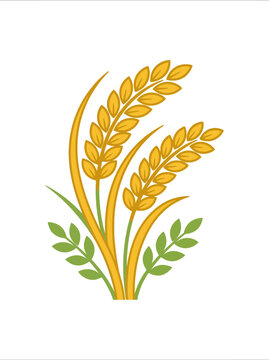 Stylized illustration of two golden wheat or rice stalks with green leaves, symbolizing harvest and agriculture.