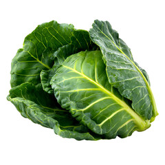 Obraz premium Close-up of fresh, vibrant green leafy vegetable (2)