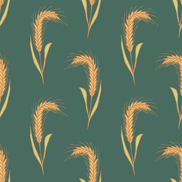 Seamless pattern with hand drawn cereal wheat oat rye barley rice ears spikelet Organic healthy food For decorative print, fabric, package, background
