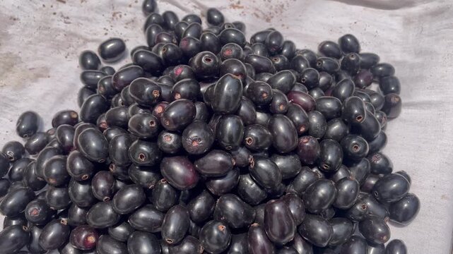 Fresh Black Jamun Fruits Pile  Tropical Java Plum Harvest