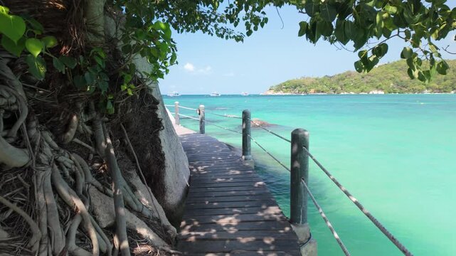 Scenic wooden walkway curves along turquoise sea with tree roots and coastal view