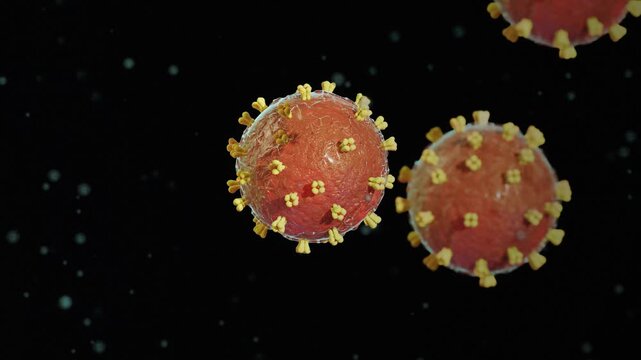 Hantavirus under microscope, 3d style, video 4k