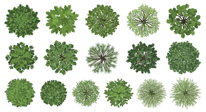 Architectural tree top view set, 15 green plant symbols for landscape design, overhead garden vegetation icons, master plan vector elements