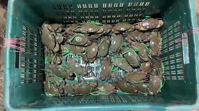 Local fishermen selling crabs in market in Mandarmani sea beach