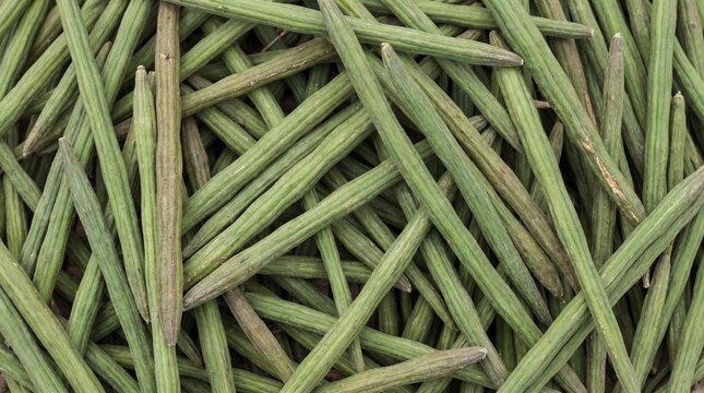 A textured overhead view of a dense pile of fresh green drumstick moringa pods with their distinctive ribbed surface healthy cooking