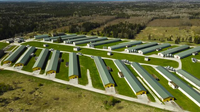 Aerial View of an Industrial Poultry Farm Complex