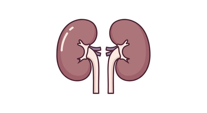 A minimalist flat graphic illustration of a pair of human kidneys depicted in muted brown tones sits centered against a clean white backdrop within a simple digital art design styl
